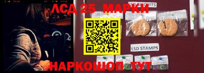 гидропоника Ирбит
